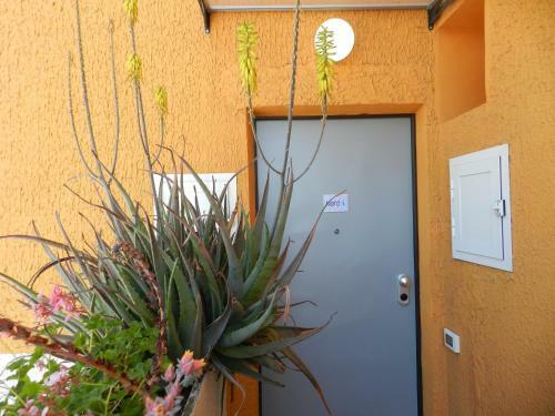 Al Volo B&B