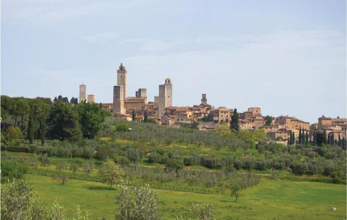 Lavanda 2