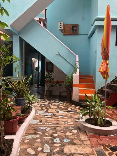 Hostal Zen House