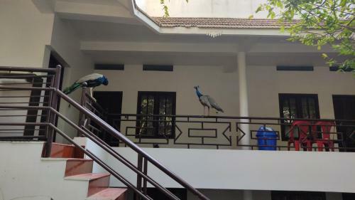 Hotel Pebblecoast Beach Resort
