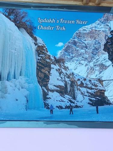 Hostal Paradise Leh Residency