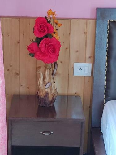 Hostal Paradise Leh Residency