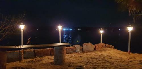 Vamoose Sattva Camps