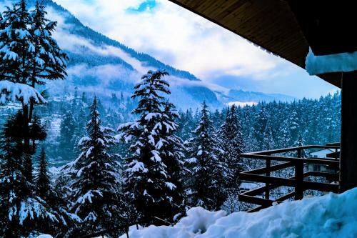 Albergue Alt Life - Manali
