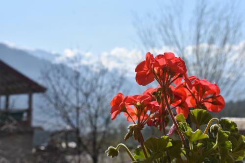 Apartamento Zorba House Manali