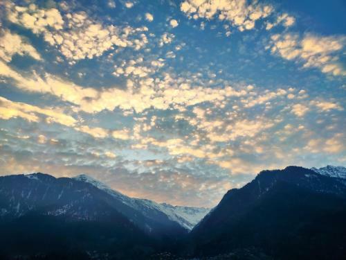 Albergue Dwellers Manali