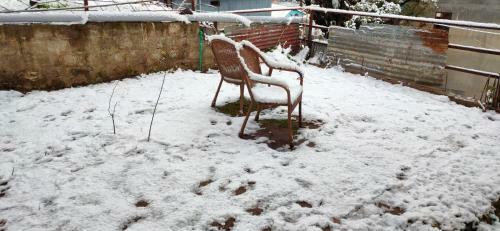 Albergue Dwellers Manali