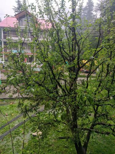 Hotel Grand Welcome Manali