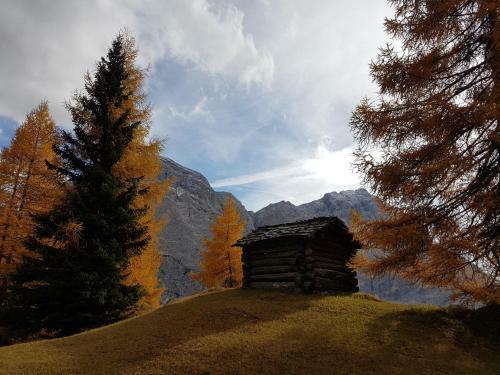 Apartamento Miribunghof