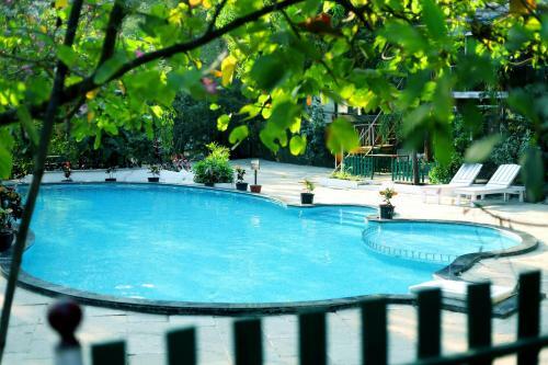 Hotel Pali Village Resort