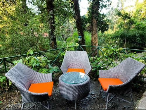 Hotel Ayar Jungle Resort