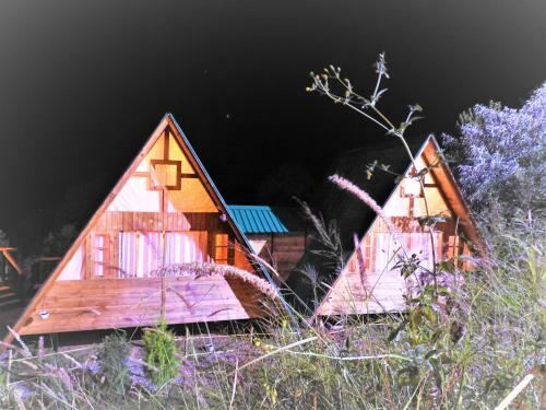 Hotel Chirpingi Birdz Resort