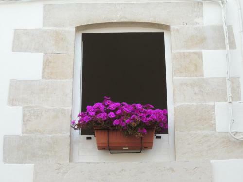 Hostal Le Fiche D?india