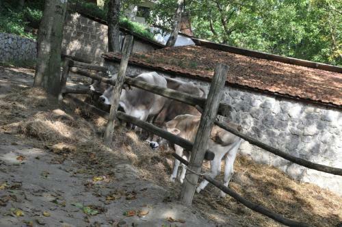 Agroturismo Agriturismo Ricciardelli