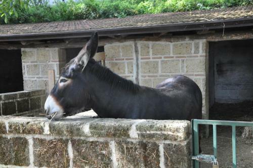 Agroturismo Agriturismo Ricciardelli