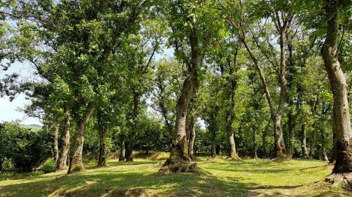 Agroturismo Agriturismo Ricciardelli