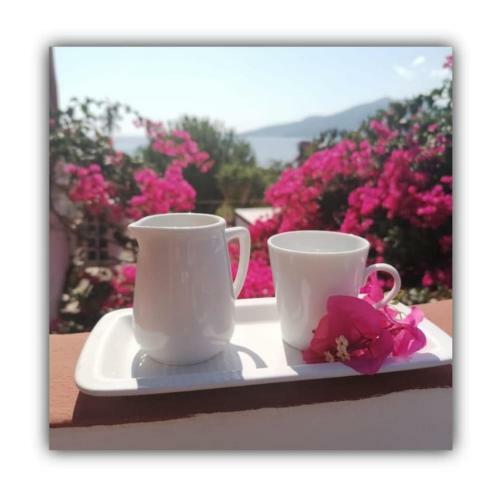 Bed & Breakfast Villino Miraglia