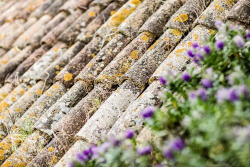 Apartamento Poggio Antico