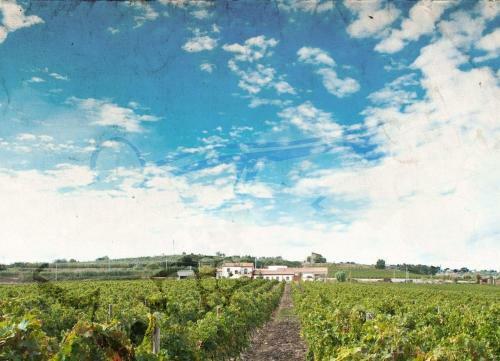 Agroturismo I Dolci Grappoli