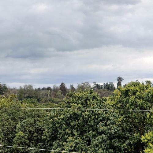 Hotel Corbett Orchid View