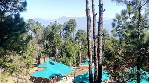 Hotel Bay Berry Camp And Resort