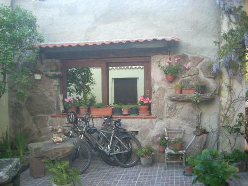 Bed & Breakfast Sa Rosa E Su Trapperi