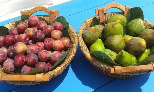 L'agave B&B Trapani Garden Paradise