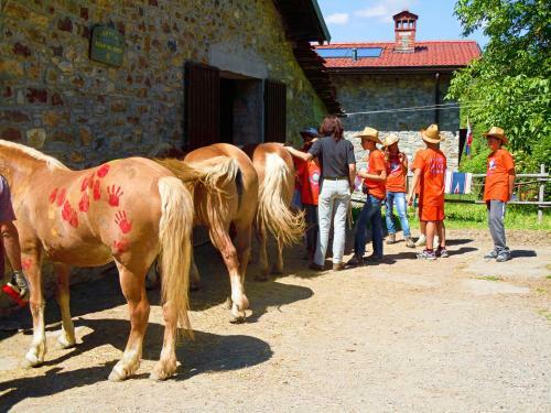 B&B Il Bosco Delle Fate