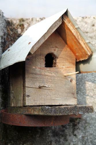 Bed & Breakfast Sentiero Valinis