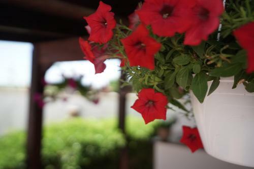 B&B Salento Terra Maris