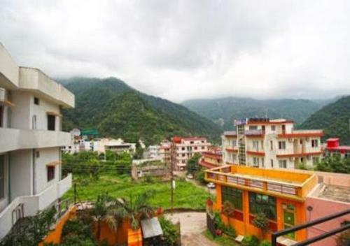 The Lily Hotel