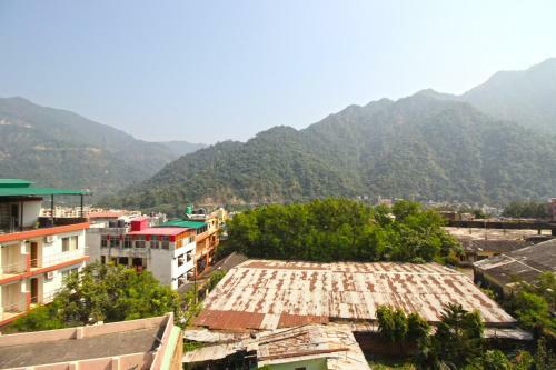 The Lily Hotel