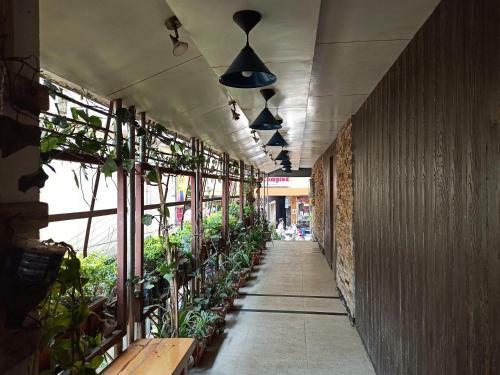 Hotel Boulevard