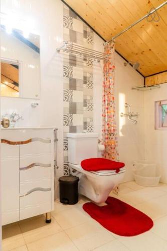 Apartamento Cosy Cottages At Mashobra's Private Heritage