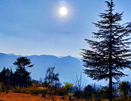 Apartamento Merlin Grove Suites Simla