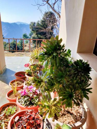 Apartamento Merlin Grove Suites Simla