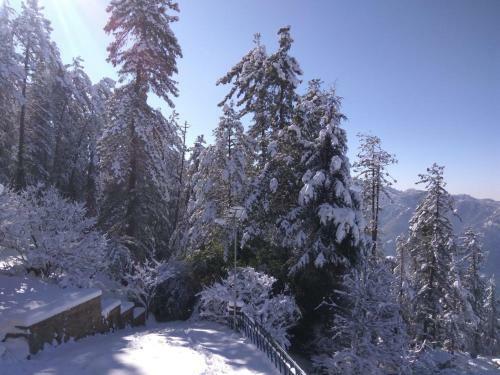 Apartamento Merlin Grove Suites Simla
