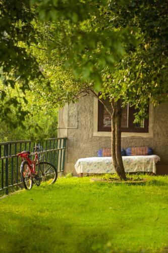 Apartamento Merlin Grove Suites Simla