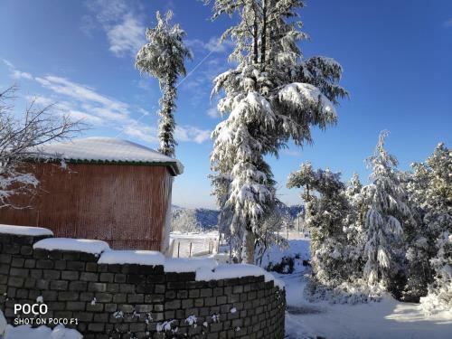 Hotel Cedar Snow View Resorts