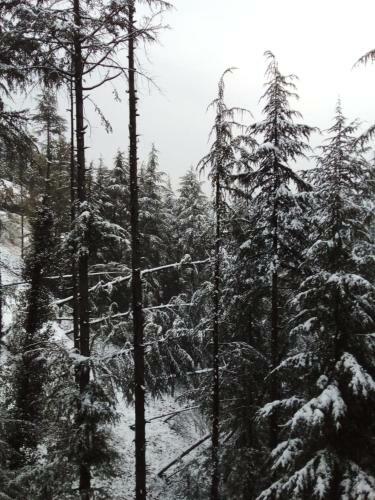 Hotel Leonard Resorts "jannat In Valley"