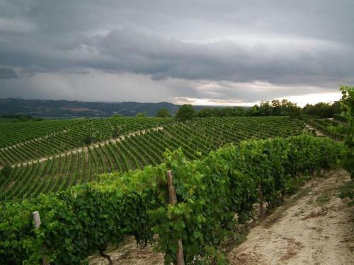 Bed & Breakfast San Rocco Di Isola D'asti
