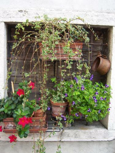 B&B Corte Barbieri