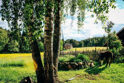 Agroturismo Wiesenhof