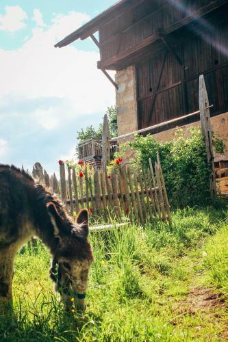 Agroturismo Wiesenhof