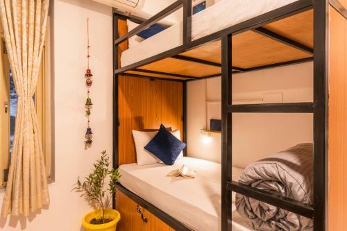 Albergue Shalom Backpackers Udaipur