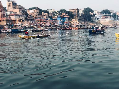 Albergue Backpackers Park Varanasi
