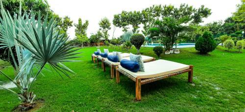 Bed & Breakfast Namastay Varanasi