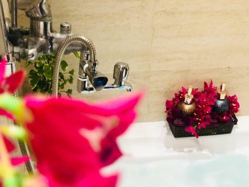 Apartamento Cleopatra (complimentary Breakfast Included)