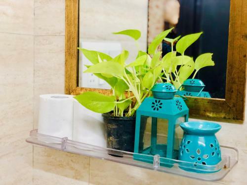 Apartamento Cleopatra (complimentary Breakfast Included)