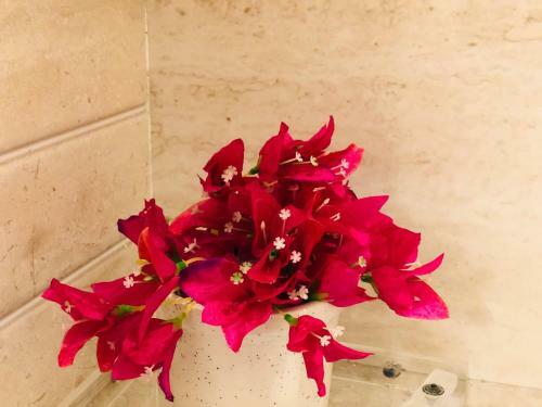 Hotel Casablanca Suites